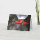 Recherche de colibri bleu vœux cartes Vol