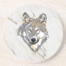 Recherche de loup bar Sauvage