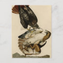 Recherche de buse cartes postales Couleur