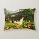 Recherche de coop coussins Poussins