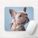 Recherche de french bulldog tapis souris Purebred dog