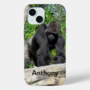 Recherche de gorille de silverback Animal sauvage