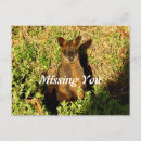 Recherche de marsupial cartes postales Australie