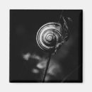 Recherche de et escargot magnets Feuille
