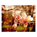 Recherche de vert chartreuse posters Rose