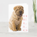 Recherche de peis vœux cartes Sharpei