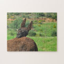 Recherche de âne puzzles Amusant