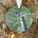 Recherche de zoologie ornements Serpent