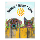 Recherche de adoption de chien posters Animal