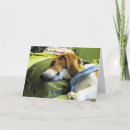 Recherche de humour beagle cartes postales Vacances