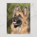 Recherche de deutscher cartes postales Bob et pam langrish