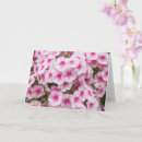 Recherche de le pays de galles vœux cartes Baleines