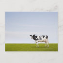 Recherche de richesse cartes postales Finance