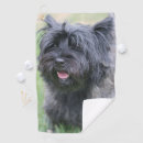 Recherche de caresse photographie Chien
