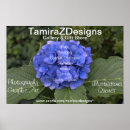 Recherche de fleuristes art Photographie