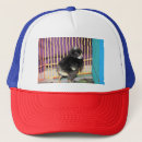 Recherche de élevage casquettes Poulet