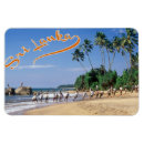 Recherche de sri lanka magnete Pêche