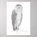 Recherche de oiseau noir et blanc posters Portrait