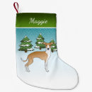 Recherche de lévrier chaussette de noël Chien