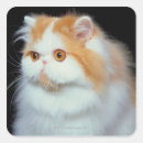 Recherche de animal faces autocollants Mammifère