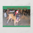 Recherche de mastiff cartes postales Vacances
