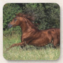 Recherche de étalon dessous de verres Plomb langrish