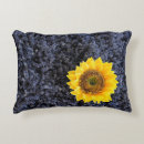Recherche de alpes décoration coussins France