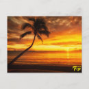 Recherche de fiji cartes postales Coucher de soleil