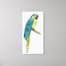 Recherche de ara d art Animaux