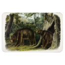 Recherche de cannelé magnets Cannelle
