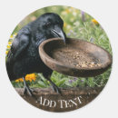 Recherche de oiseau noir autocollants Toute personne