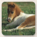 Recherche de fixation dessous de verres Poulain