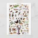 Recherche de arthropode posters Illustration
