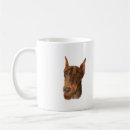 Recherche de pinscher rouge tasses Dobie