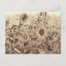 Recherche de sunflower cartes postales Vintage
