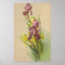 Recherche de litho Victorien