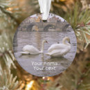 Recherche de cygne blanc ornements Oiseaux