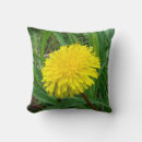 Recherche de pissenlit coussins Photographie de la nature