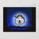Recherche de husky cartes postales Heureux
