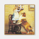 Recherche de berger shetland magnets Chiens de berger