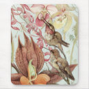 Recherche de colibris tapis souris Forêt tropicale