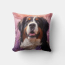 Recherche de berne coussins Bernais