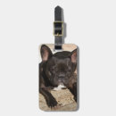 Recherche de frenchie bagages étiquettes Drôle