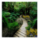 Recherche de magnifique posters Arbres