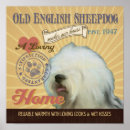Recherche de berger posters Animal