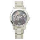 Recherche de koala montres Australien