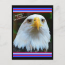 Recherche de aigle chauve cartes postales Vote