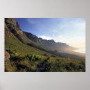 Recherche de gallo posters Horizontal