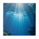 Recherche de récif carreaux Barrière de corail