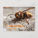 Recherche de de slogan cartes postales Animaux